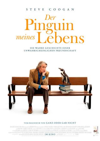 DER PINGUIN MEINES LEBENS Bild
